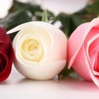 Obituary of Katie Bell Oxner