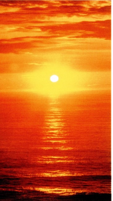 Obituary of Mildred L. Newman