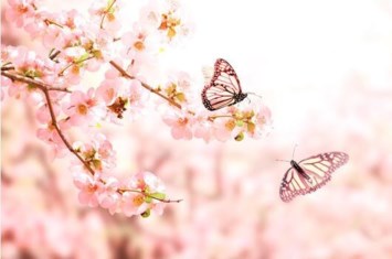 Obituary of Martha Luz Martinez