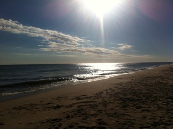 Obituary of Barbara Bullis