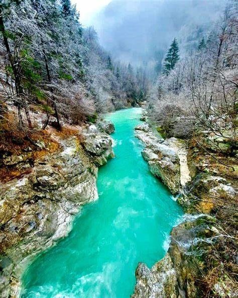 Obituary of Edward Beamon McCormick Jr.