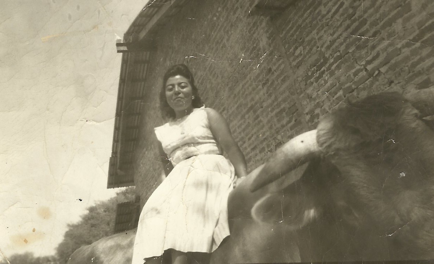 Maria Solano Obituary - Glendora, CA