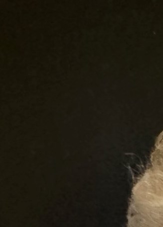 Carpenter Breland Funeral Home Obituaries