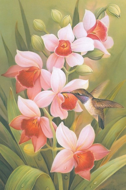 Obituary of Betty Mae Stevens