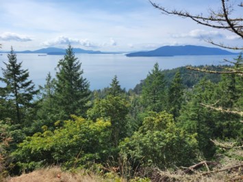 Obituario de Gilbert Earl Andrew