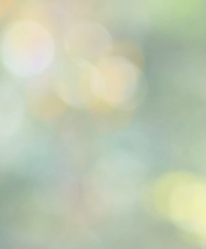 Diana Peterson Obituary Texarkana, TX