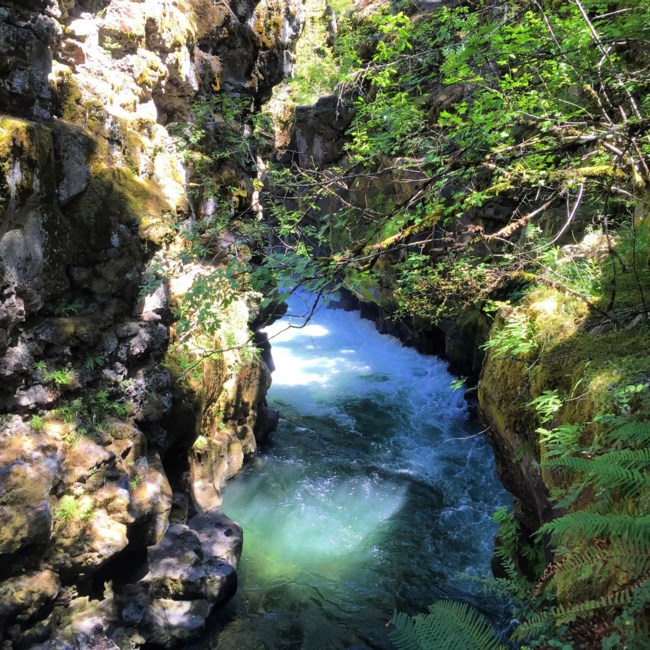 Avis de décès de William Mayes