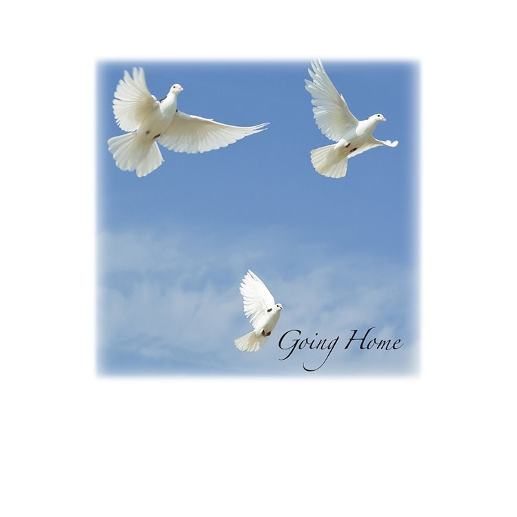 Obituary of Willie Nelson