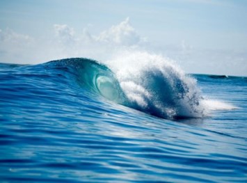 Avis de décès de Lorene Brown