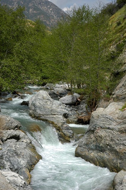 Obituary of Francisco Lazo Miguel