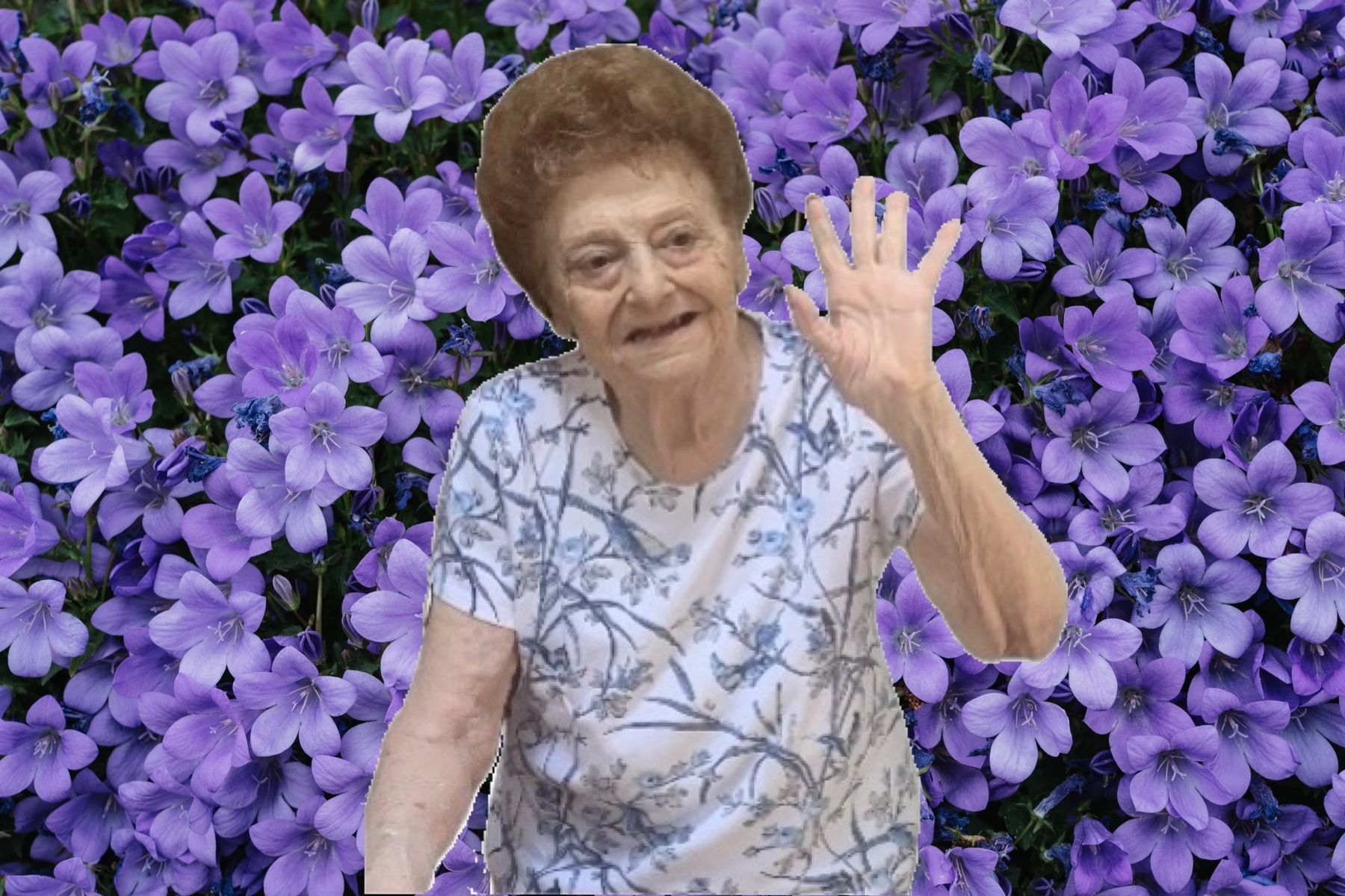 Obituario de Frances Iacone