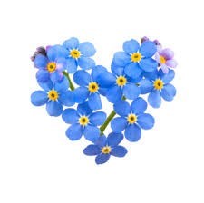 Obituary of Jennifer Margaret Clark