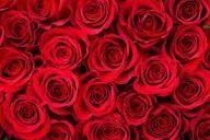 Obituary of Rosa Gonzalez