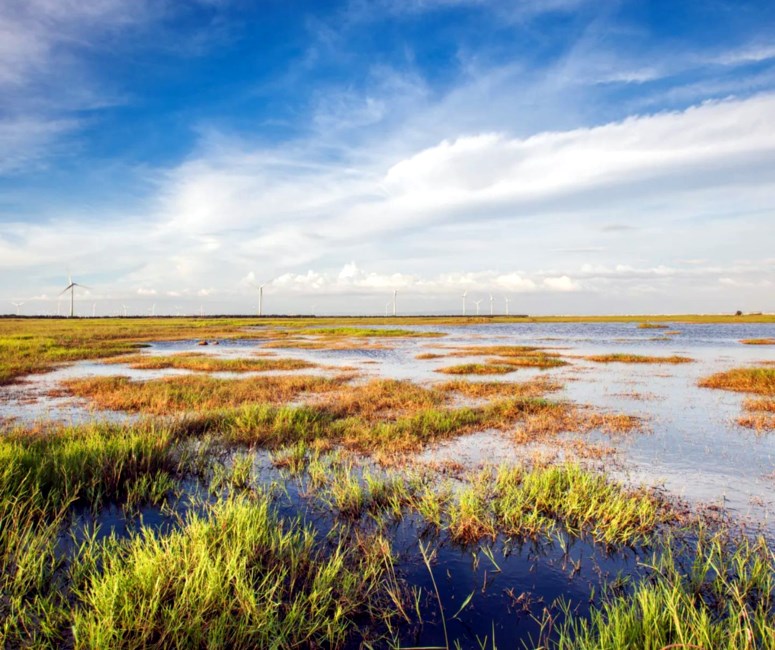 Obituary of Edwin P. Smith