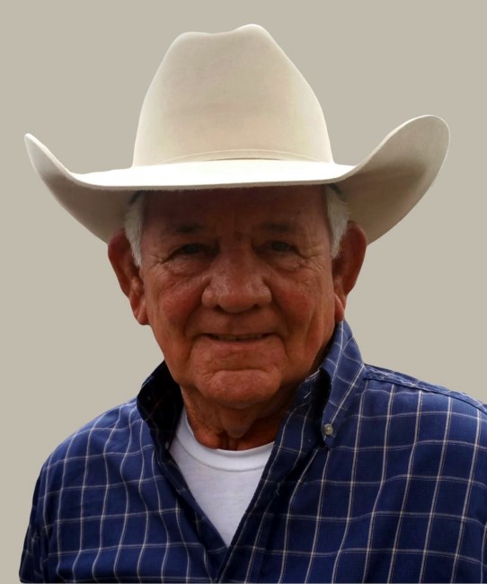 Obituary of Gene Cook