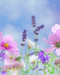 Avis de décès de Barbara Joan Milligan