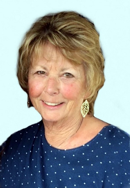 Obituary of Diane L. Ryan "Di"