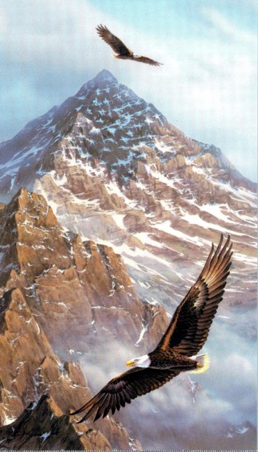 Obituario de Manuel Rivera