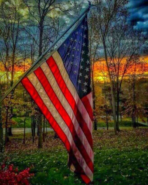 Obituary of Wayne Edward Wollard