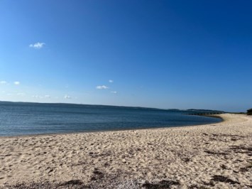 Obituary of Joseph Louis Ferrara