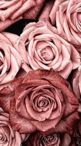 Obituary of Joanne Cardoza