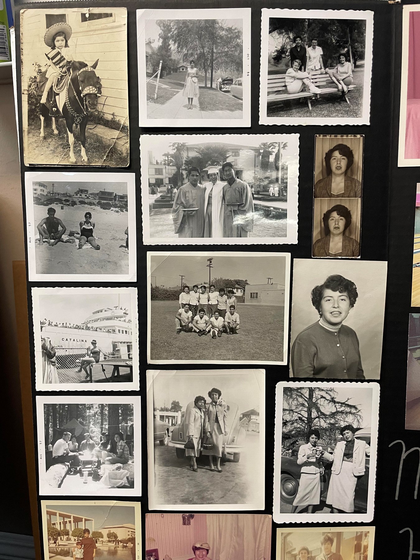 Obituary of Diana Viveros