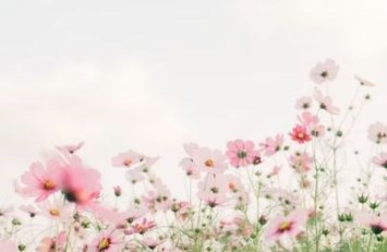 Avis de décès de Elizabeth Ann Bowers