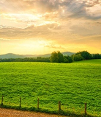 Obituary of Romeo Asuncion Garcia