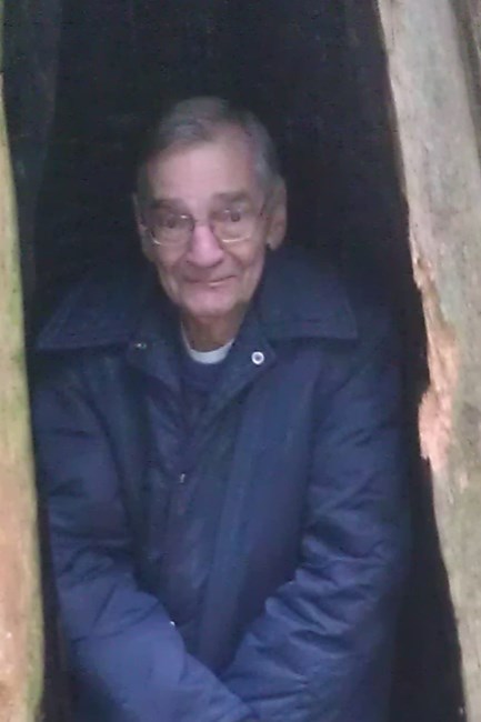 Obituary of Peter Camden Pineo