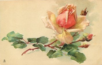 Obituary of Melinda Ann Jaber