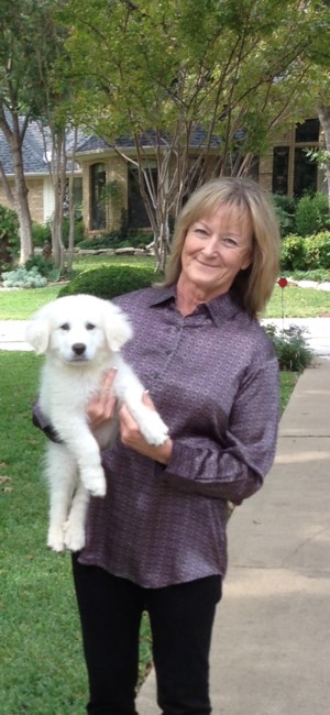 Obituary of Mrs. Brenda B Martin