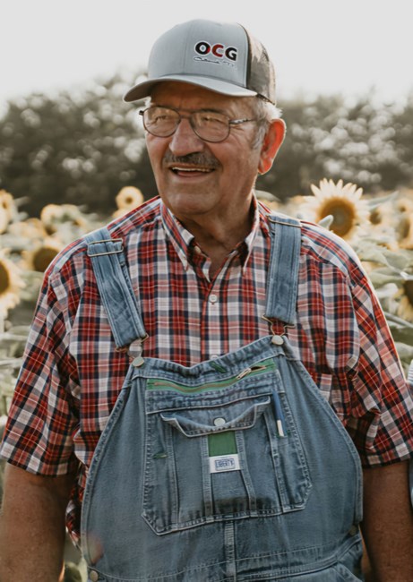 Obituary of Ralph H Lovell Jr.