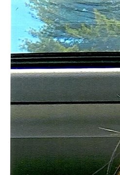 Jill Elizabeth Marquette Obituary Reading PA jill-elizabeth-marquette-obituary-reading-pa