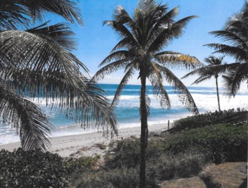 Obituario de Evelyn Lee (Coplan/Lowy) Weiss