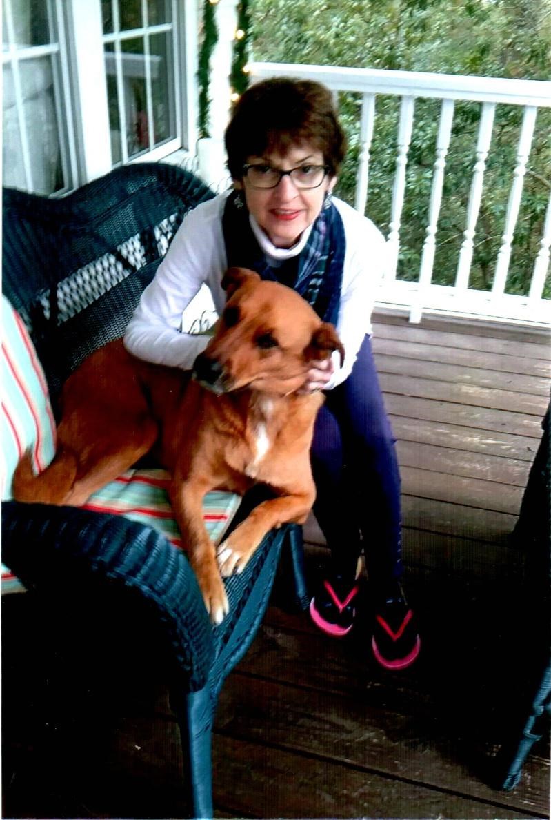 Obituary of Carol S O'Mahony