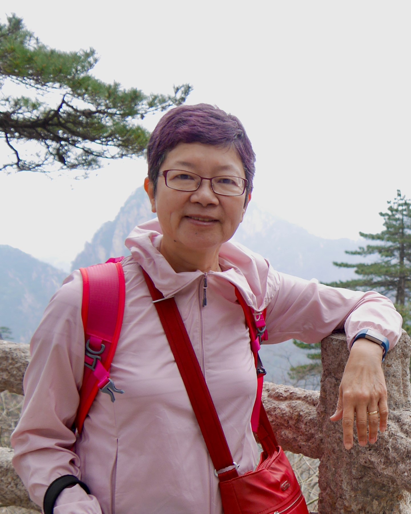 Avis de décès de Susan Shun-Ching Ng 陸遜貞