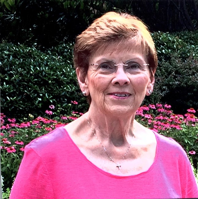 Obituary of Judith "Judy" Ann Cook