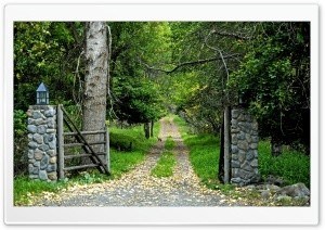 Obituario de William "Pete" T. Brown