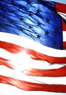 Obituary of Thomas M. D'Ambrosio