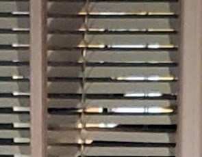 Dorothy Jacob Wilson Obituary New Bern NC dorothy-jacob-wilson-obituary-new-bern-nc