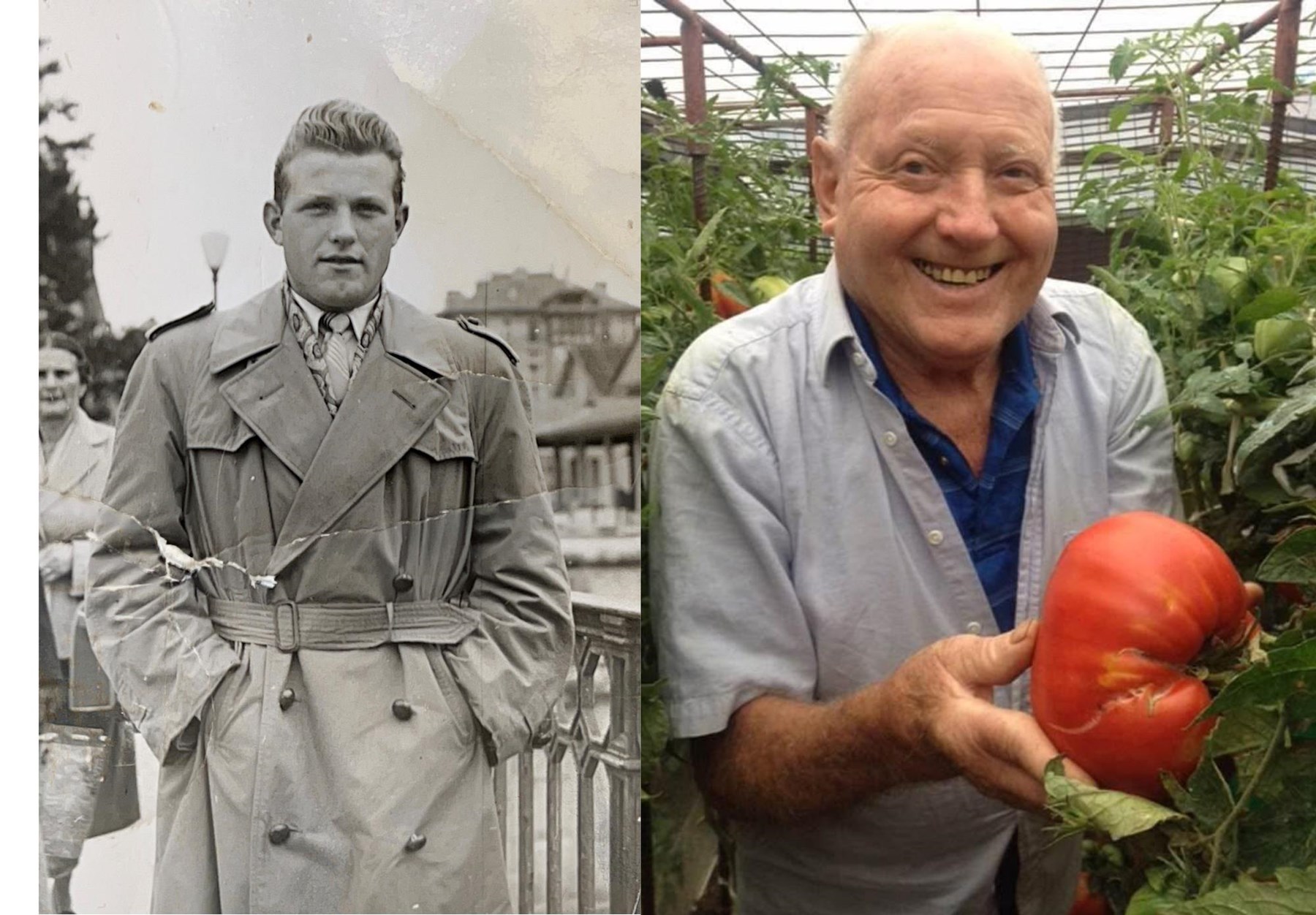 Obituary of Mr. Gino Giuseppe Peloso