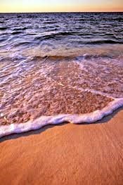 Obituary of Alberto Gonzalez