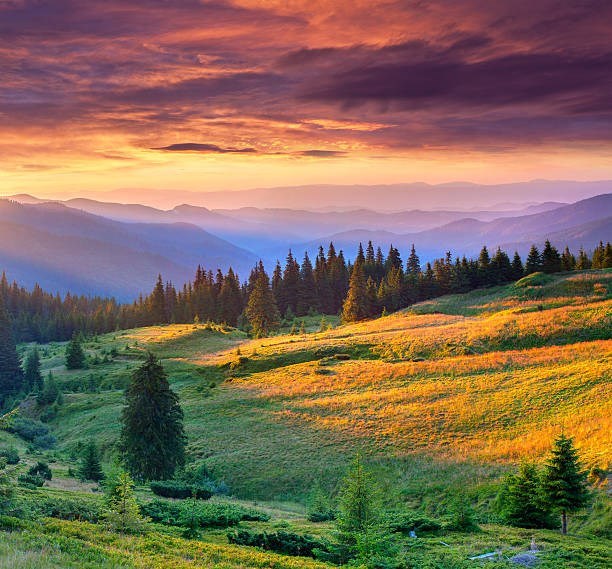 Obituary of Doris Soto-Rivas