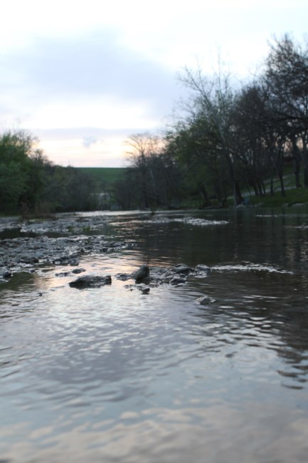 Obituary of Thomas Tommy L. Hultgren