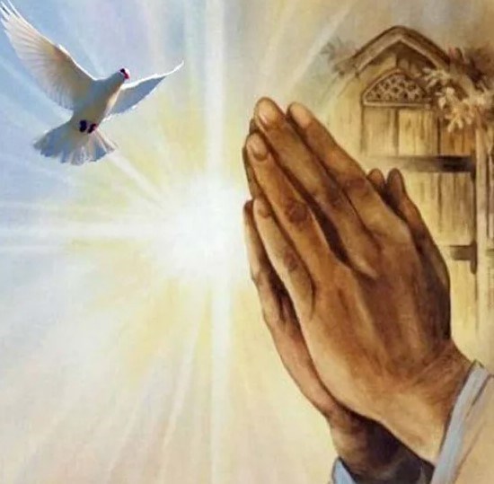 Obituary of Lyne B Myers