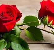 Obituary of Roger J. Fillion