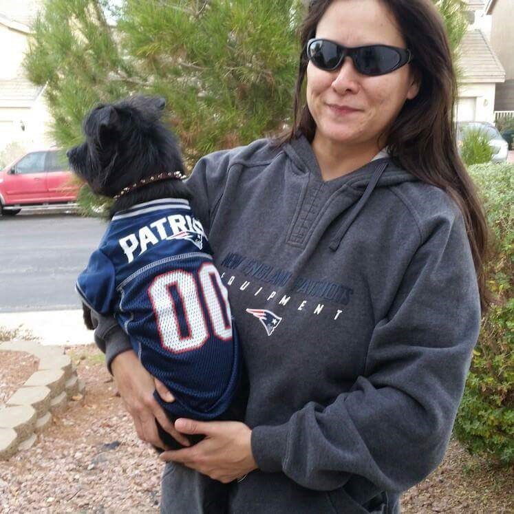 Brady dog top jersey