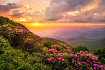 Obituary of Mary Lynn Porter