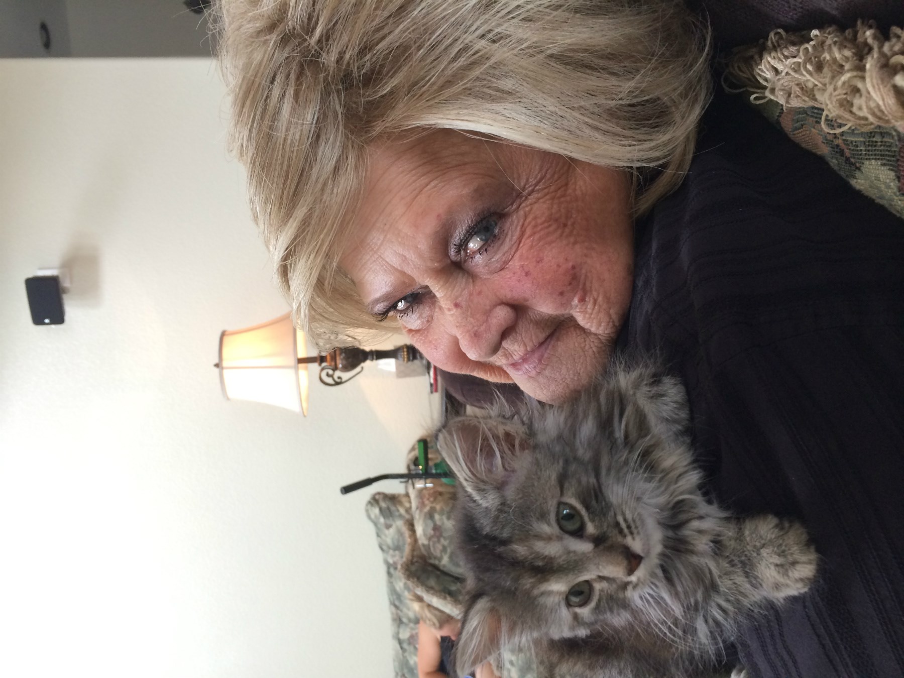 Obituary of Darla Jo Guy