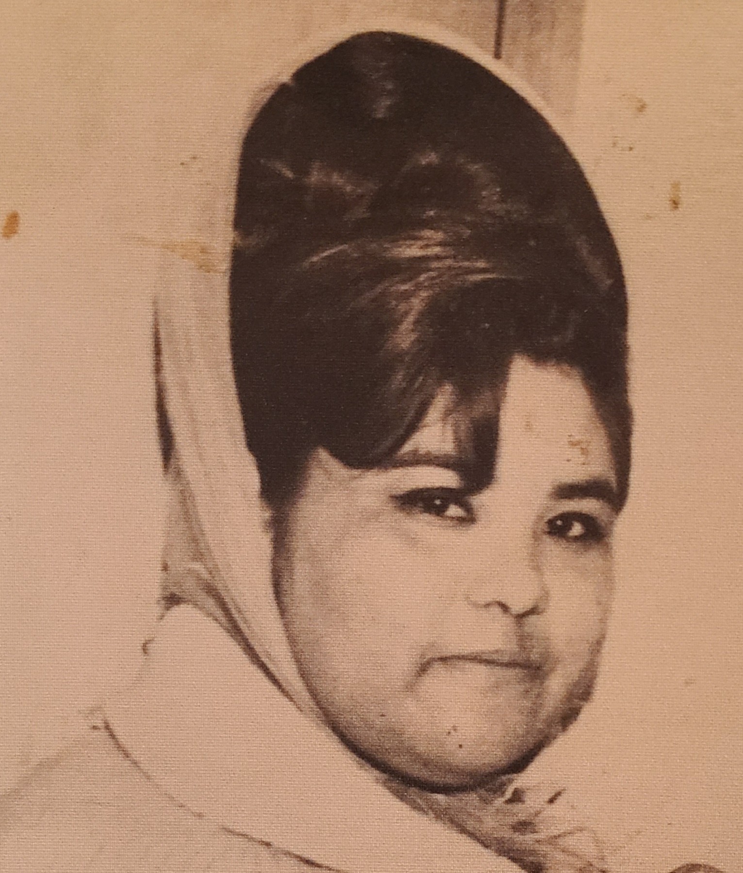 Amelia Javalera Obituary - Greeley, CO